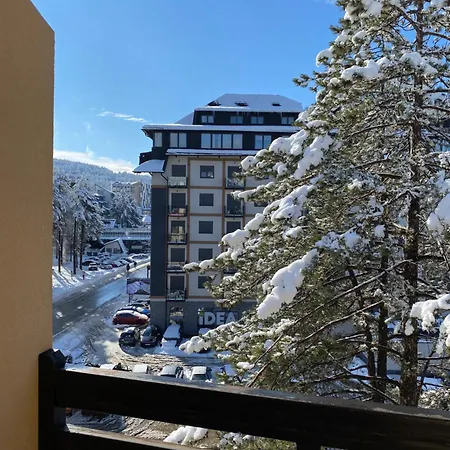 55 * Zlatibor